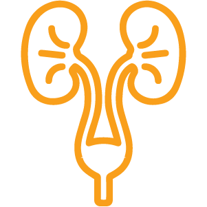 bill-cure-Urology-medical-billing-speciality